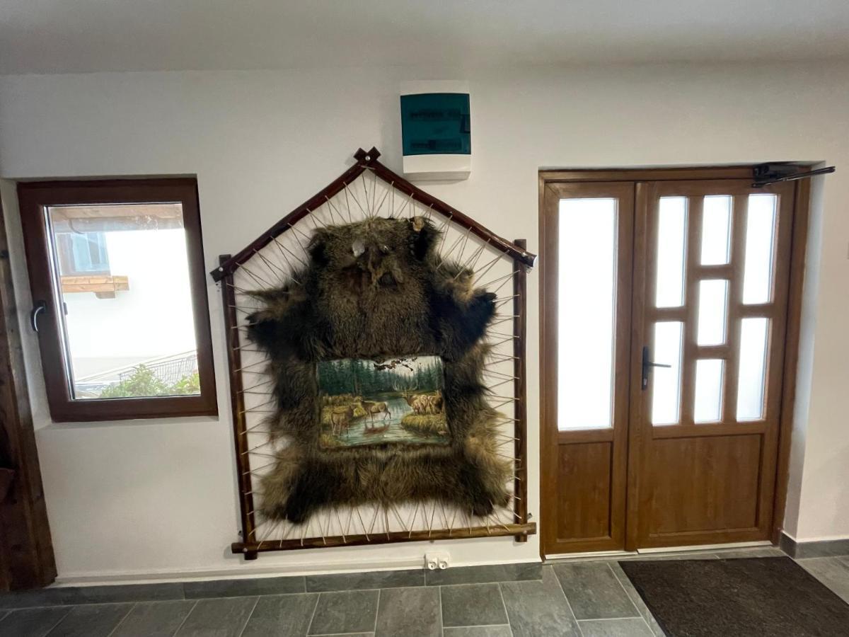 Pensiunea Vis Alpin Beliş Exterior foto