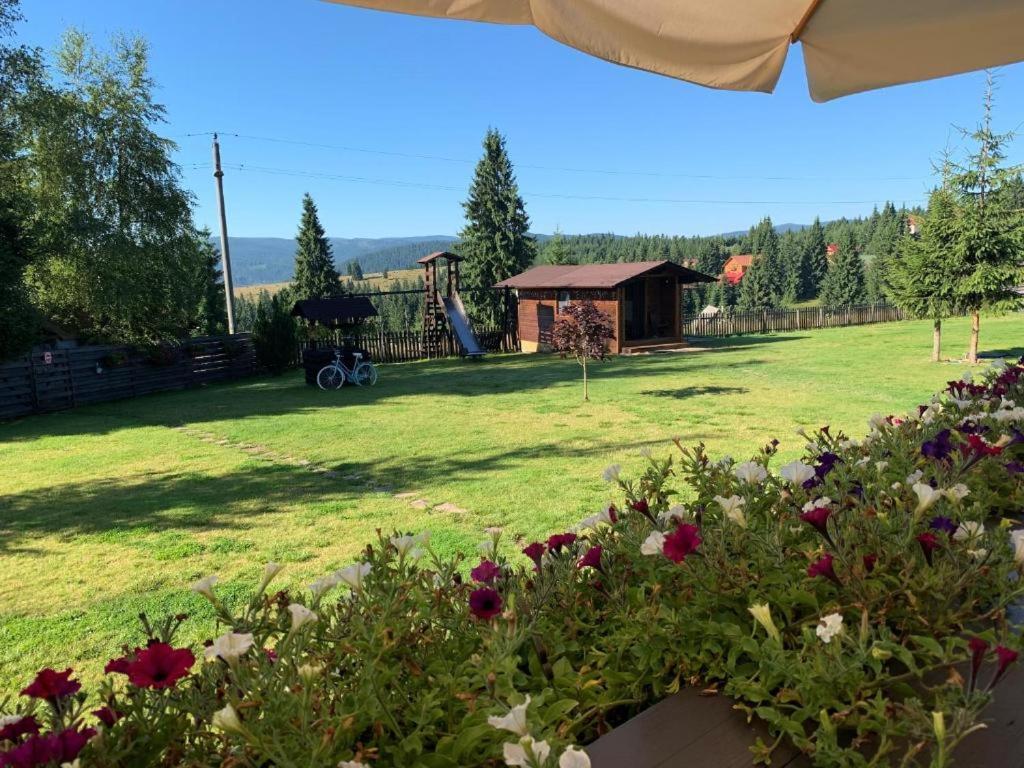 Pensiunea Vis Alpin Beliş Exterior foto