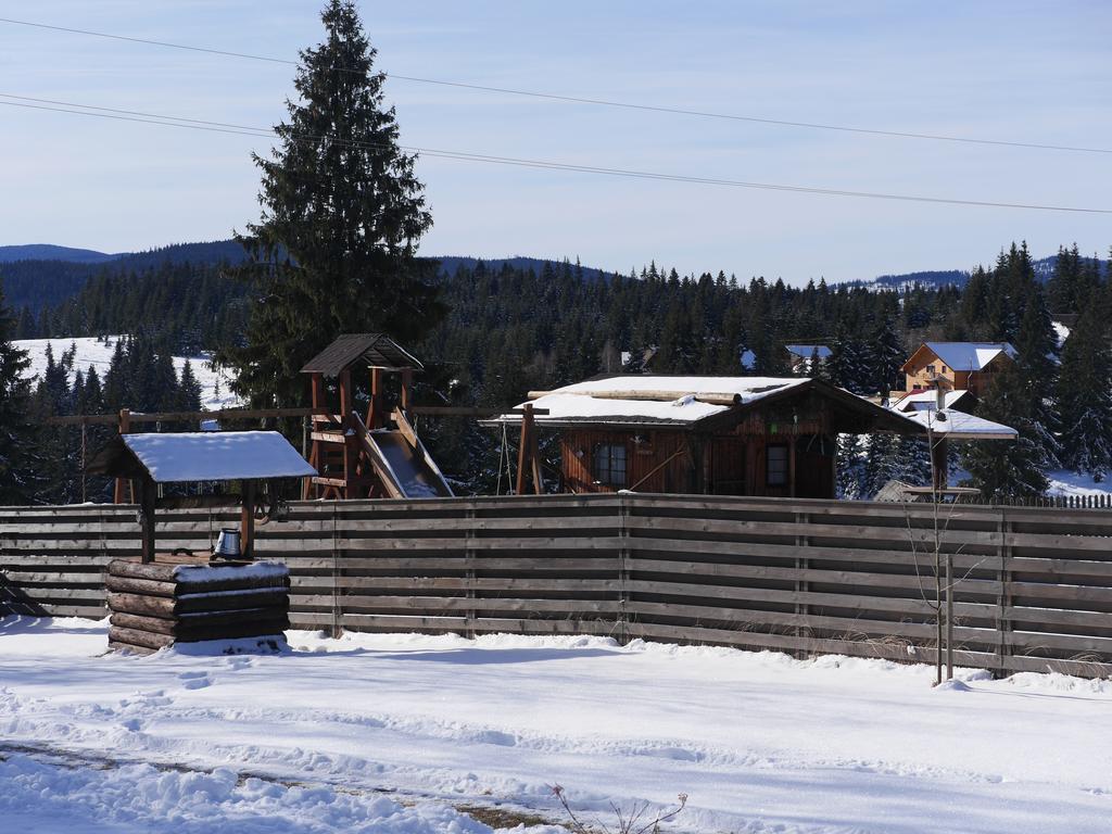 Pensiunea Vis Alpin Beliş Exterior foto