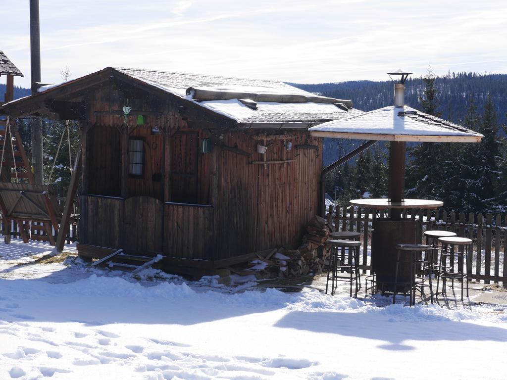 Pensiunea Vis Alpin Beliş Exterior foto