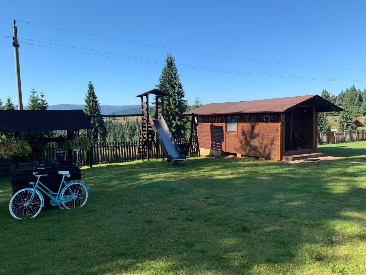 Pensiunea Vis Alpin Beliş Exterior foto